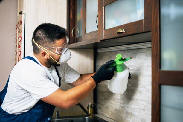 Best Termite Control Services  in Fowler, IN