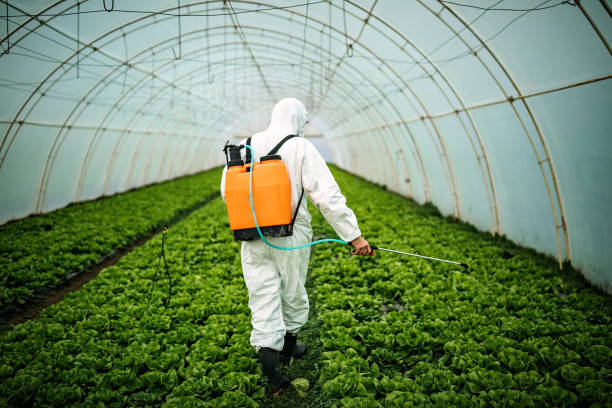 Best Best Pest Control Companies  in Fowler, IN