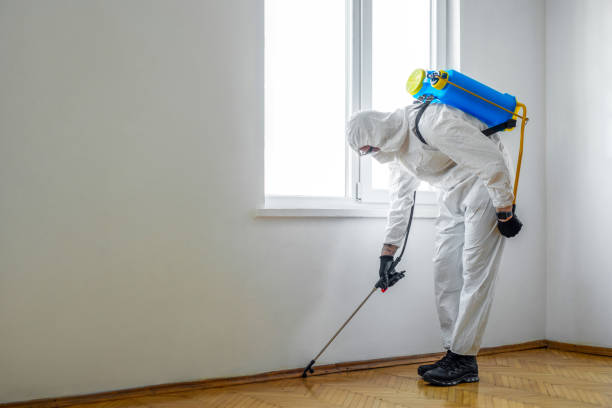 Best Best Pest Control Companies  in Fowler, IN