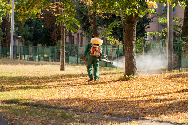 Best Exterminator Services  in Fowler, IN