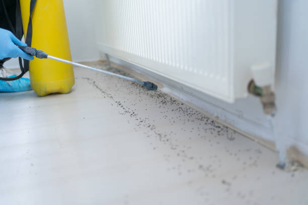 Best Pest Control for Businesses  in Fowler, IN